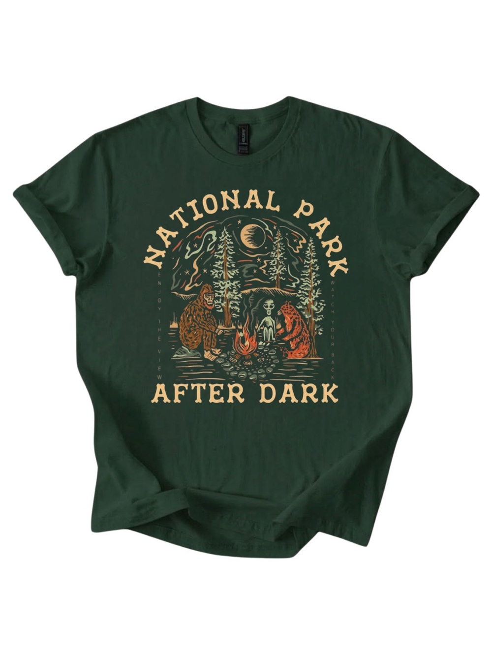 Gildan National Park After Dark Graphic Tee - Dark Green